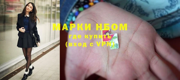 прущие грибы Алексеевка