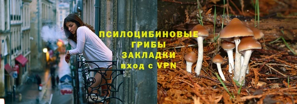 прущие грибы Алексеевка