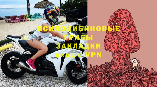 прущие грибы Алексеевка