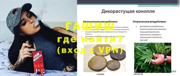 прущие грибы Алексеевка