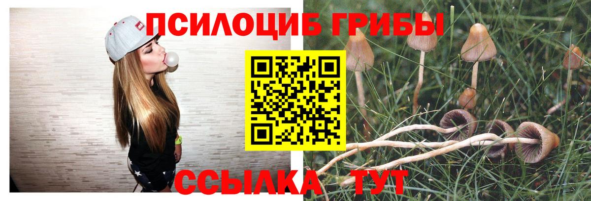 продажа наркотиков  Псилоцибиновые грибы мухоморы  Галлюциногенные грибы GOLDEN TEACHER  Вход с VPN  Кореновск 